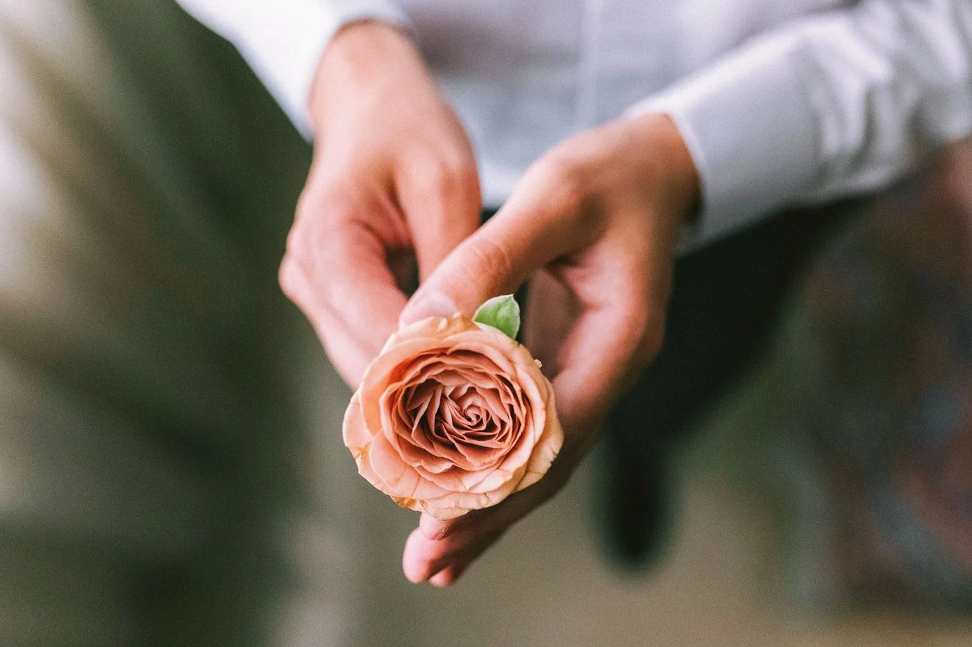 Cosa rende unico un matrimonio in Calabria? · foto 2